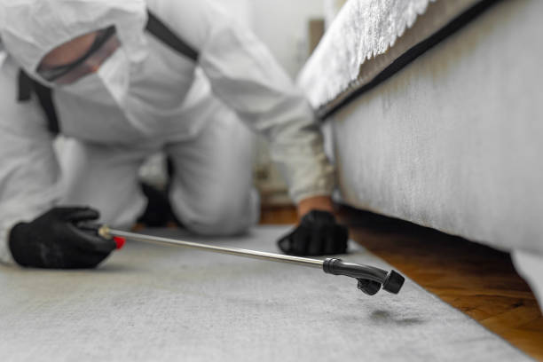 Professional Bed Bug Control technician working in Scotland Neck, NC