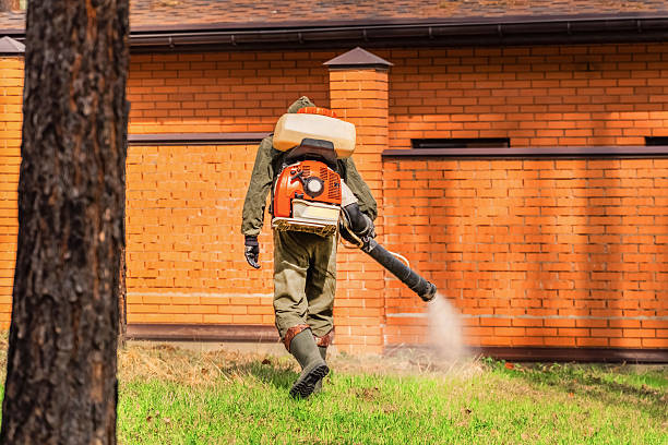 Trusted Emergency Pest Control service in Scotland Neck, NC - Nex Pest Control
